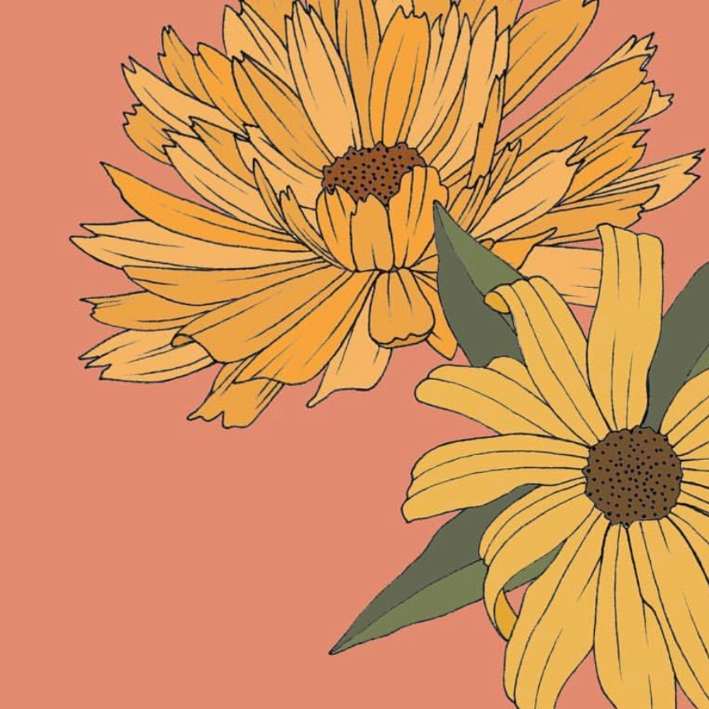 Meet your Posher, Eva